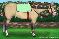 Horse Color:Buckskin Roan Dun Splash 