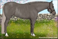 Horse Color:Silver Black Rabicano 