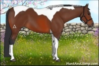 Horse Color:Bay Tobiano 