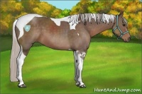 Horse Color:Silver Black Tobiano 