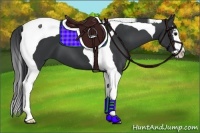 Horse Color:Black Splash Tobiano 