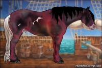 Horse Color:White Spotted Chestnut Sabino Blanket 