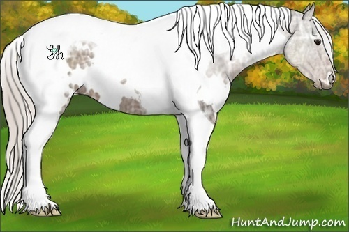 Horse Color:White Spotted Silver Black Ice Tobiano