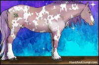 Horse Color:Watercolor White Spotted Bay Pearl 