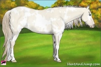 Horse Color:White Spotted Smoky Creme Dun Rabicano 