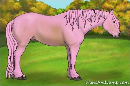 Horse Color:Watercolor Brown 