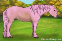 Horse Color:Watercolor Brown 