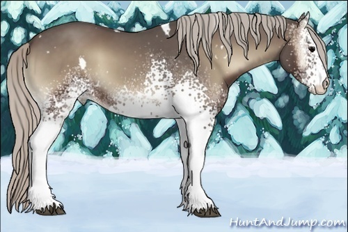 Horse Color:White Spotted Silver Blue Onyx Rabicano 