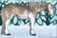 Horse Color:White Spotted Silver Blue Onyx Rabicano