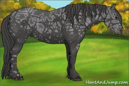 Horse Color:Smoky Black Ice 