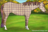 Horse Color:Plaid Red Dun