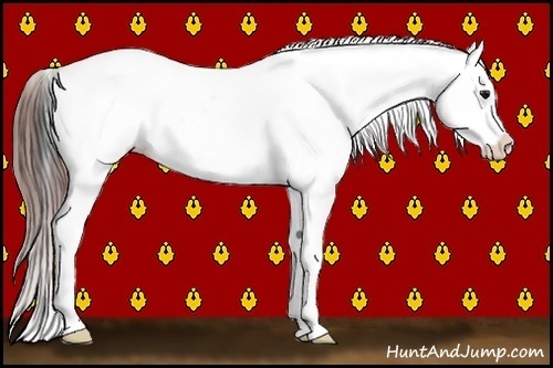 Horse Color:Brown Appaloosa