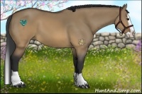 Horse Color:Brown Dun Splash