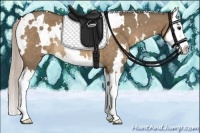 Horse Color:White Spotted Silver Brown Dun Splash Rabicano