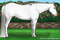 Horse Color:Liver Chestnut Sabino Appaloosa Rabicano