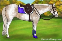 Horse Color:White Spotted Palomino