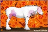 Horse Color:Watercolor Chestnut Sabino Tobiano 