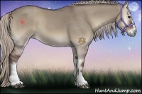 Horse Color:White Spotted Silver Grullo Onyx