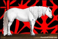 Horse Color:Buckskin Roan Splash Varnish