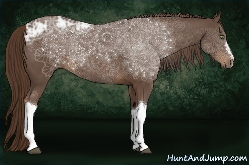 Horse Color:Liver Chestnut Ice