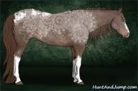 Horse Color:Liver Chestnut Ice 