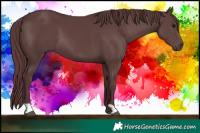 Horse Color:Chocolate Black
