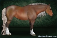 Horse Color:Silver Brown 
