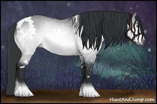 Horse Color:White Spotted Bay Chinchilla Rabicano