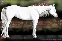 Horse Color:Silver Brown Blanket