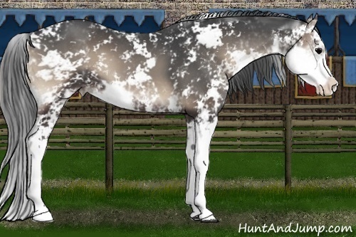 Horse Color:Blue Onyx Sabino 
