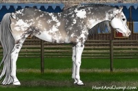 Horse Color:Blue Onyx Sabino