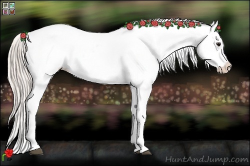 Horse Color:White Spotted Silver Bay Appaloosa