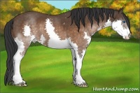 Horse Color:Brown Splash