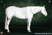 Horse Color:Bay Tobiano Snowcap  Brindle