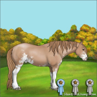 Horse Color:Black Pearl Sabino 