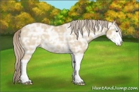 Horse Color:Palomino Ice Roan Dun Sabino