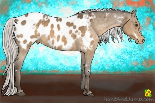 Horse Color:White Spotted Silver Buckskin Near Leopard