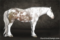 Horse Color:Silver Black Sabino 