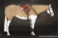Horse Color:Palomino Splash