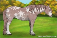 Horse Color:Watercolor Chestnut Ice