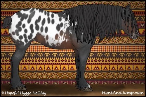 Horse Color:Brown Roan Appaloosa