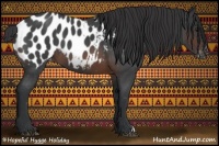 Horse Color:Brown Roan Appaloosa 