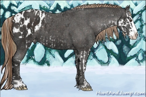 Horse Color:Liver Chestnut Sabino Splash Blanket  and Liver Chestnut Sabino Splash Blanket 