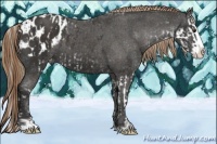 Horse Color:Liver Chestnut Sabino Splash Blanket  and Liver Chestnut Sabino Splash Blanket 