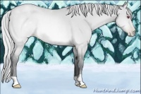 Horse Color:Silver Brown Chinchilla Pearl 