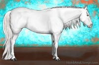 Horse Color:Silver Amber Champagne Ice Appaloosa 