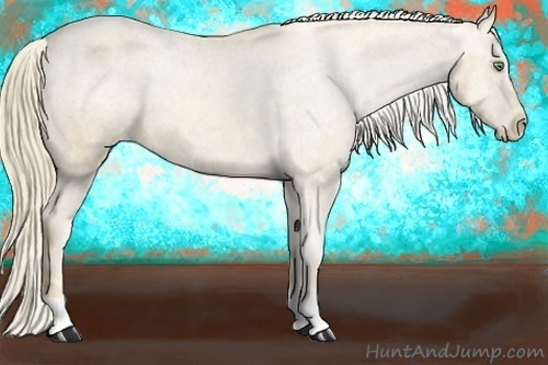 Horse Color:Gold Champagne Mushroom Varnish 