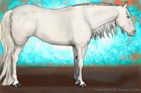 Horse Color:Gold Champagne Mushroom Varnish 