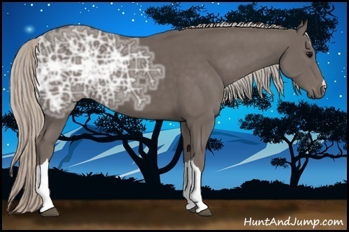 Horse Color:Silver Black Ice 