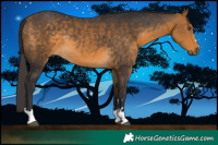 Horse Color:Buckskin Rabicano